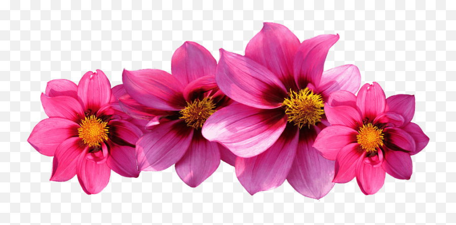 Aesthetic Flower Png Aesthetic Flower - Pink Flowers Png Emoji,Flower Png