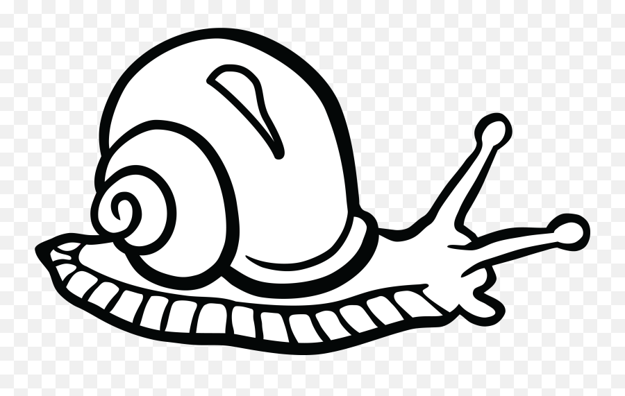 Snail Drawing Png - Pond Snail Black And White Clipart Emoji,Snail Clipart