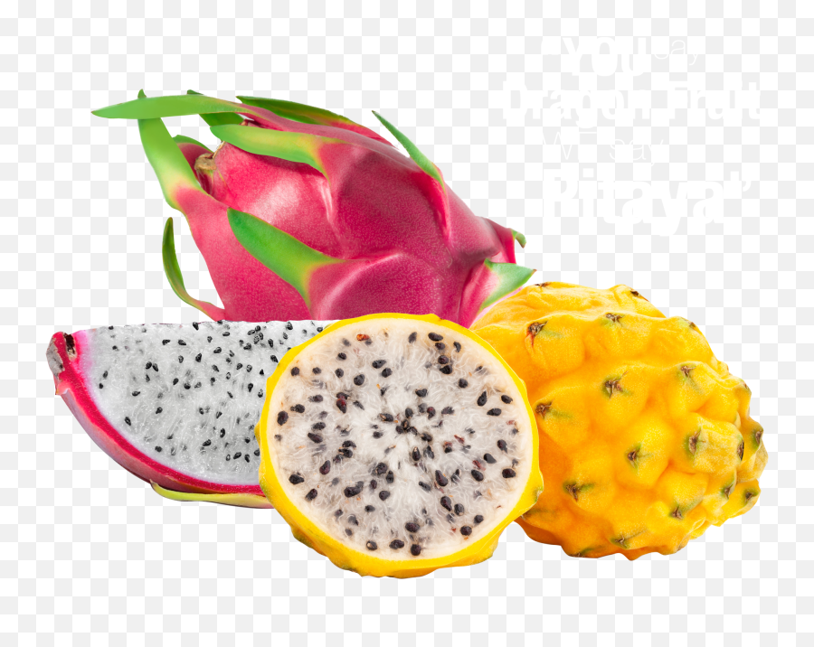 Products Freshway - Hylocereus Megalanthus Emoji,Fruit Png