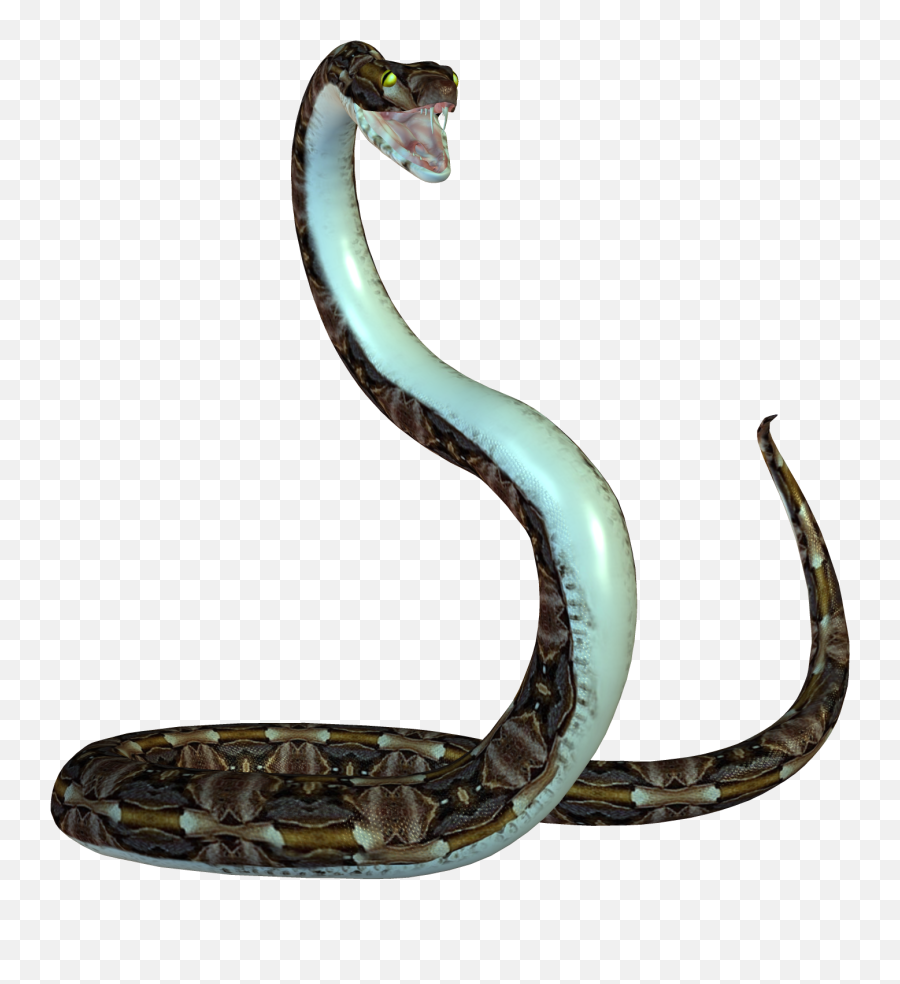 Snake Clipart Png - Transparent Background Snake Png Emoji,Snake Clipart