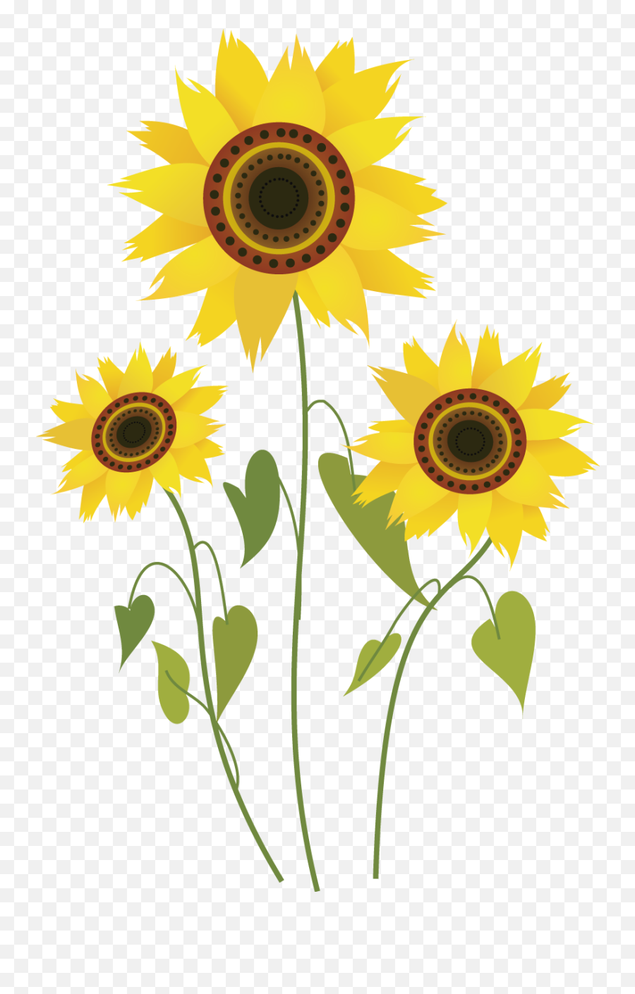 Drawing Sunflowers Sunflower Plant - Sun Flower Plant Drawing Emoji,Cornhole Clipart