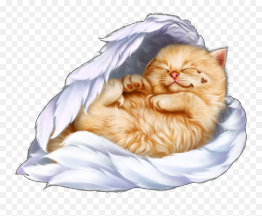 Ftestickers Scgoodnightworld Sticker By Pennyann Emoji,Sleeping Cat Clipart