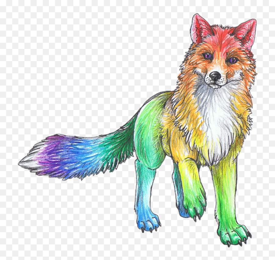 Cute Animals Png - Rainbow Cute Animal Animals Sketch Cute Animal Drawings Emoji,Animal Png