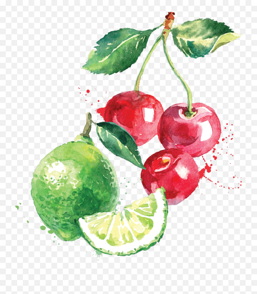 Cherry Lime Sparkle - Cherry Watercolor Illustration Emoji,Lime Png