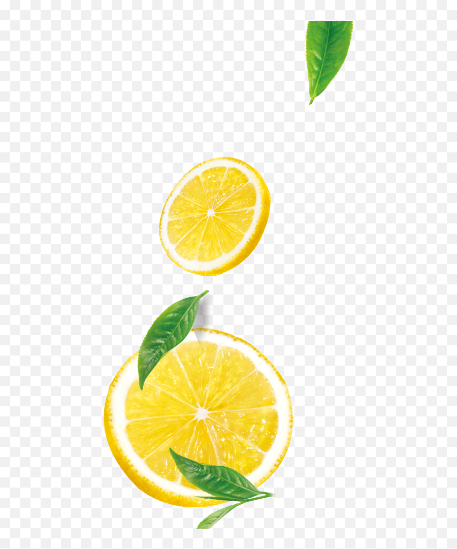 Lemon Transparent Png Image U0026 Lemon Clipart - Lemon Meyer Lemon Emoji,Lemon Clipart