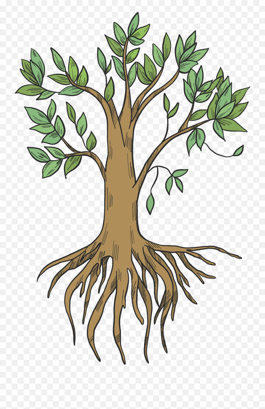 Tree With Roots Clipart - Roots Clipart Emoji,Tree Roots Png