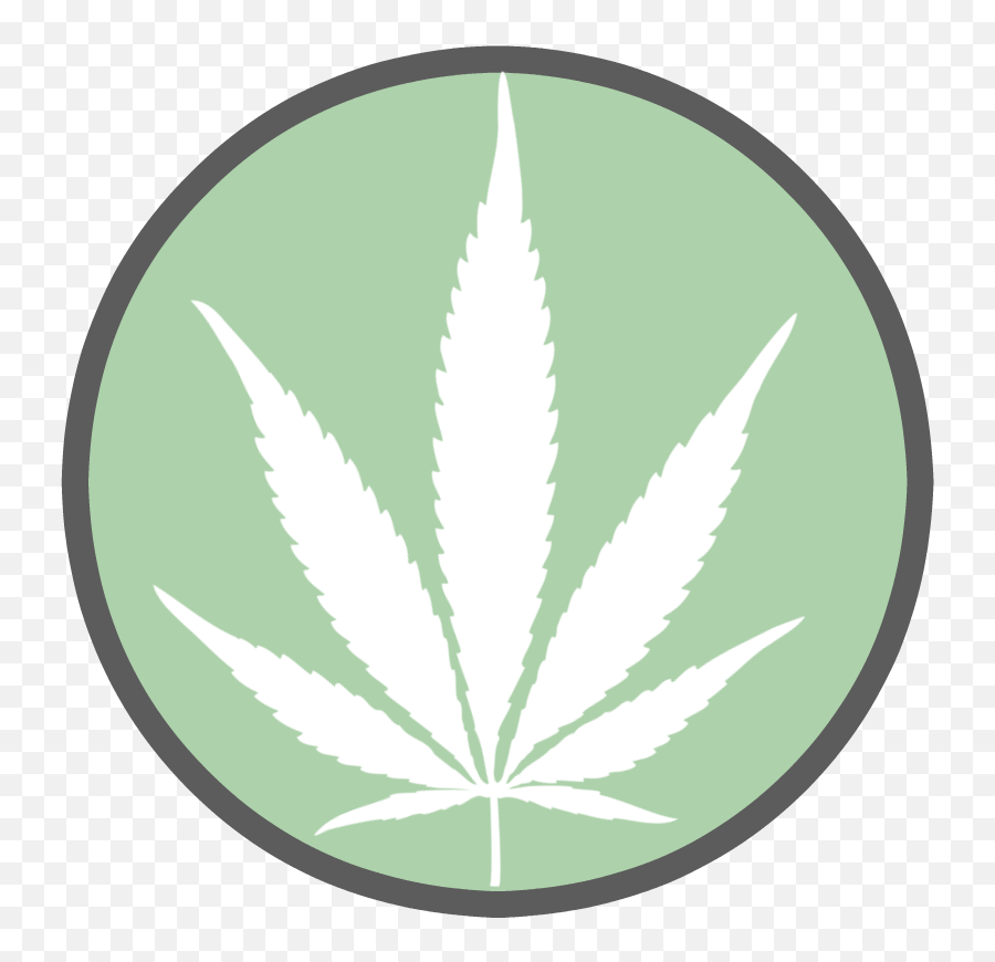 News - Dr Judith Major Ct Medical Marijuana Program Emoji,Cannabis Png