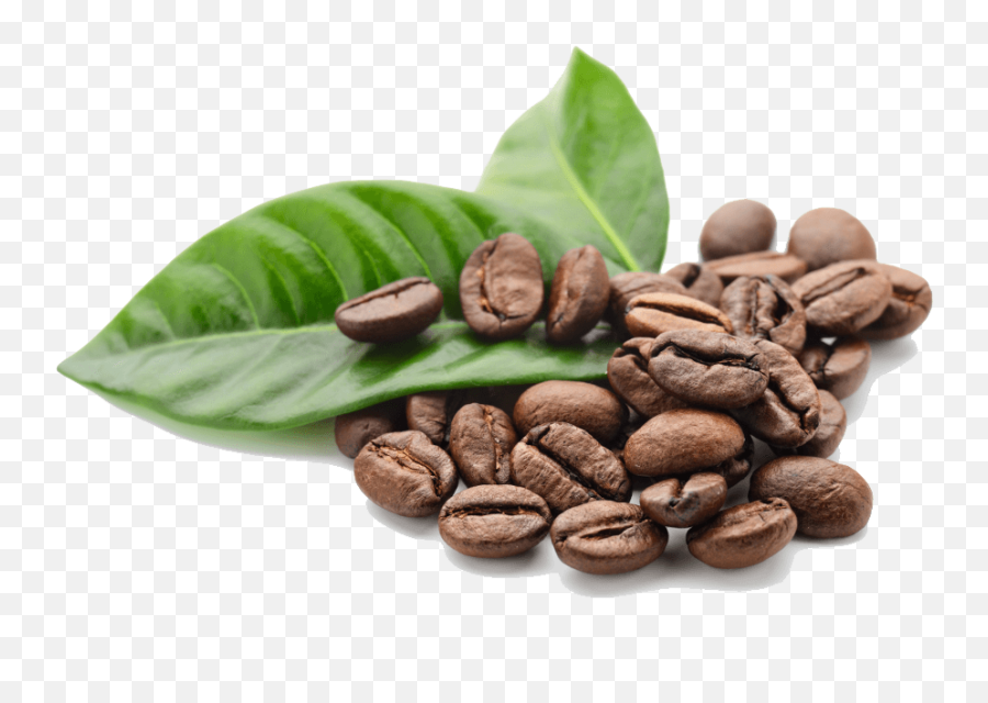 Coffee Beans Leaves Transparent Png - Coffee Beans Emoji,Coffee Png
