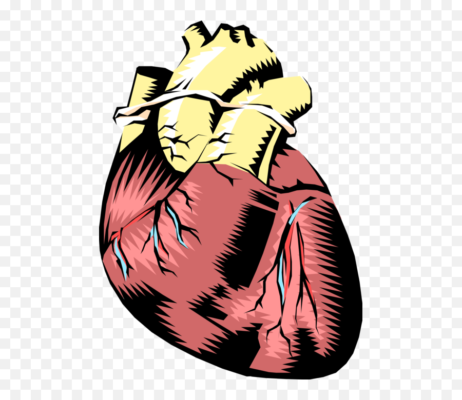 Human Heart Royalty Free Vector Clip - Coracao Humano Em Png Emoji,Human Heart Clipart
