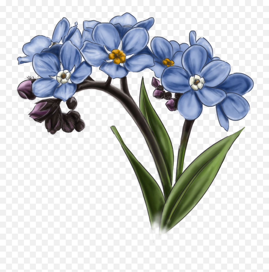 Forget Me Not Transparent Image - Forget Me Nots Png Emoji,Forget Me Not Flowers Clipart