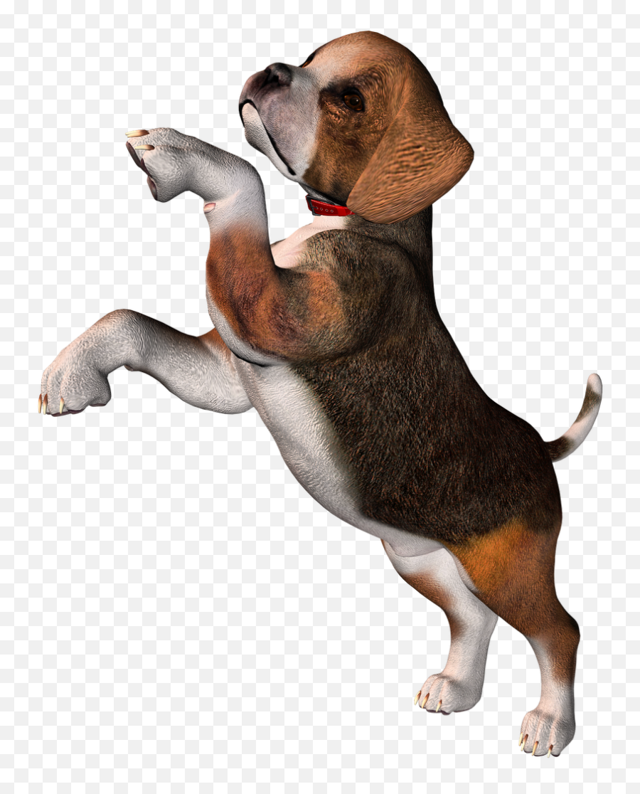 Perro Clipart Beagle - Beagle Puppy Clipart Transparent Beagle Dog Png Emoji,Puppy Clipart
