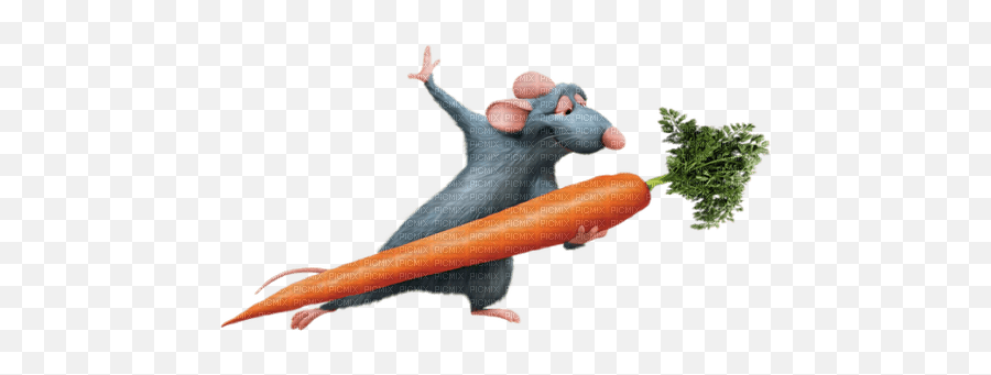 Ratatouille Ratatouille - Transparent Png Ratatouille Logo Emoji,Ratatouille Png