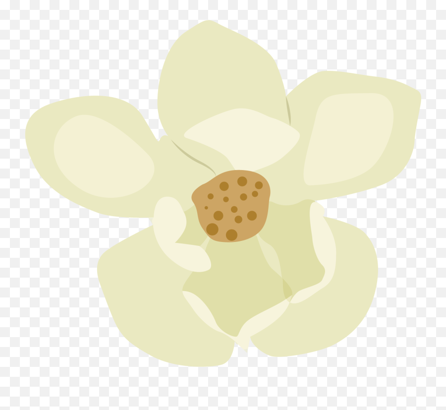 Magnolia Coco Flower Emoji,Magnolia Clipart