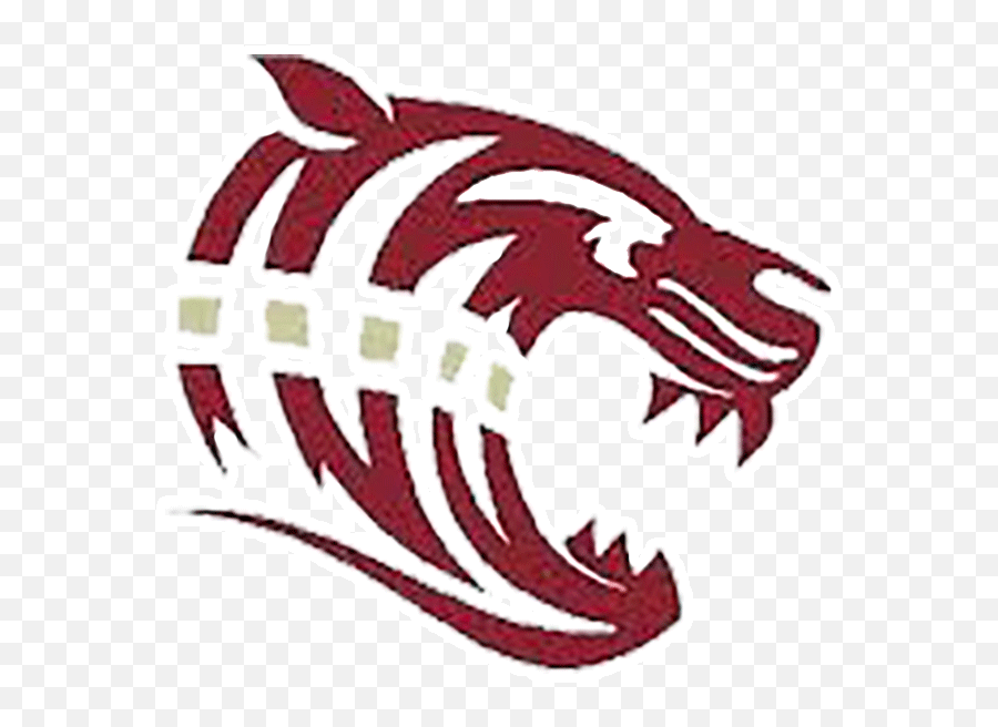 Dawson County - Team Home Dawson County Tigers Sports Dawson County Middle School Emoji,Tiger Logo