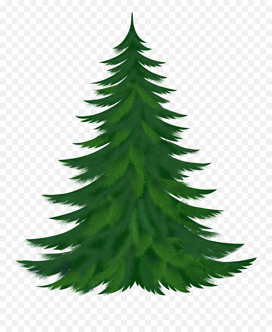 Free Pine Tree Clipart Png Download - Pine Cone Tree Clipart Emoji,Pine Tree Clipart