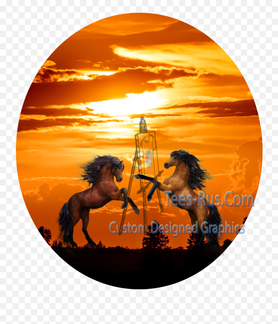 Wild Horses Playing With A Sunset Background Hors - 2400 Fictional Character Emoji,Horses Png
