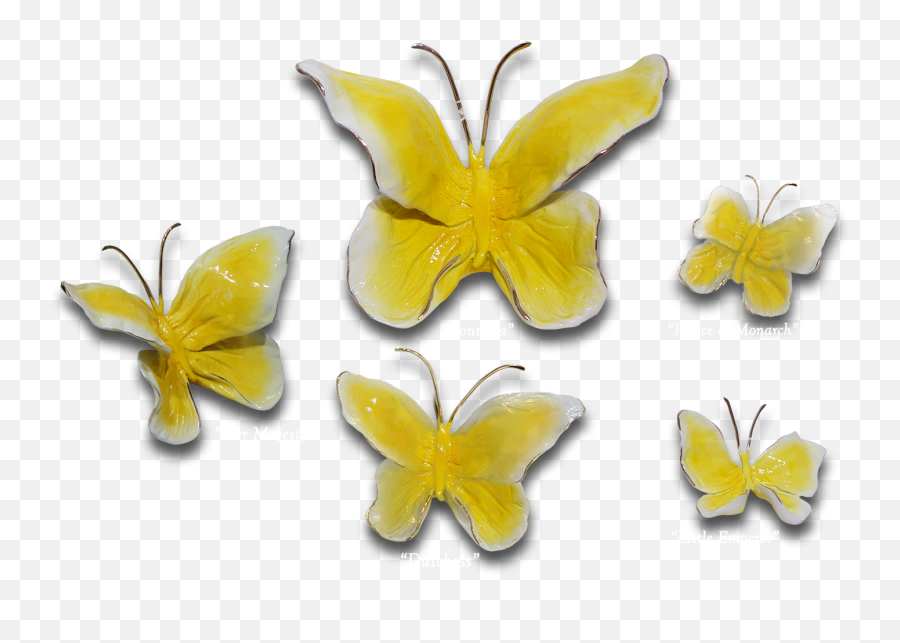 Buttercup Butterfliesu201d U2013 Exposures International Gallery Of Emoji,Buttercup Png