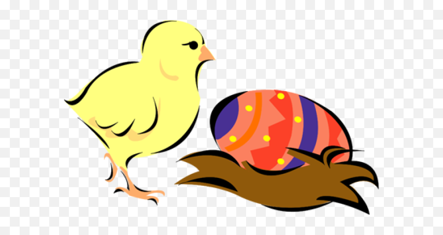 Web Development Easter Chicks Easter Images Easter Clipart - Animal Figure Emoji,Easter Basket Clipart