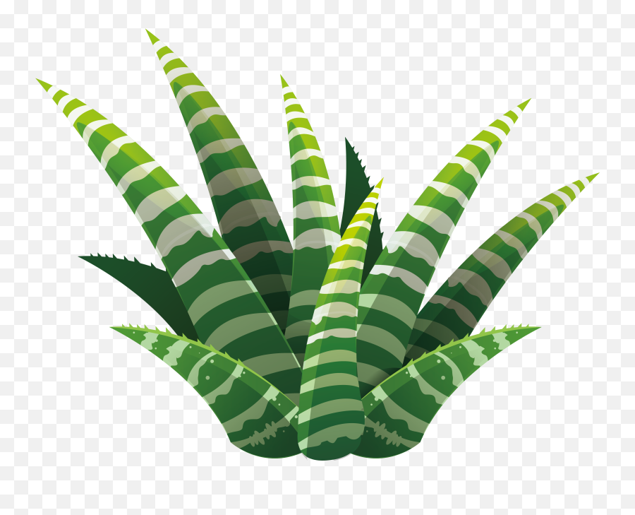 Plant Vector Png - Leaf Succulent Plant Euclidean Vector Succulent Plant Emoji,Succulents Clipart