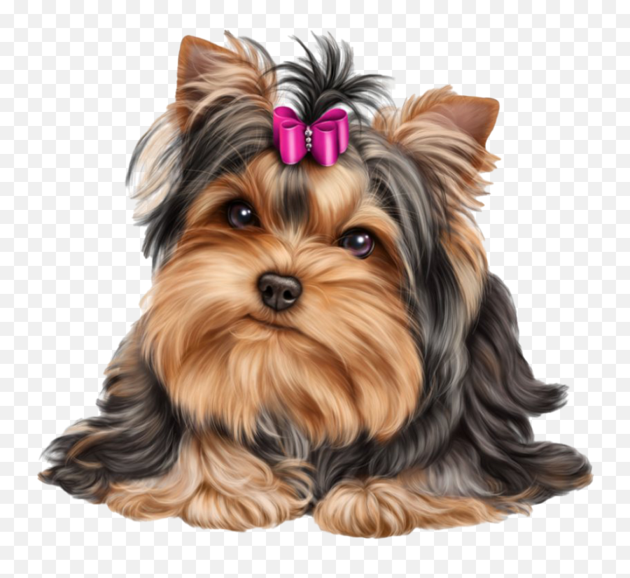 Cute Yorkshire Terrier Dog Emoji,Cute Dog Png