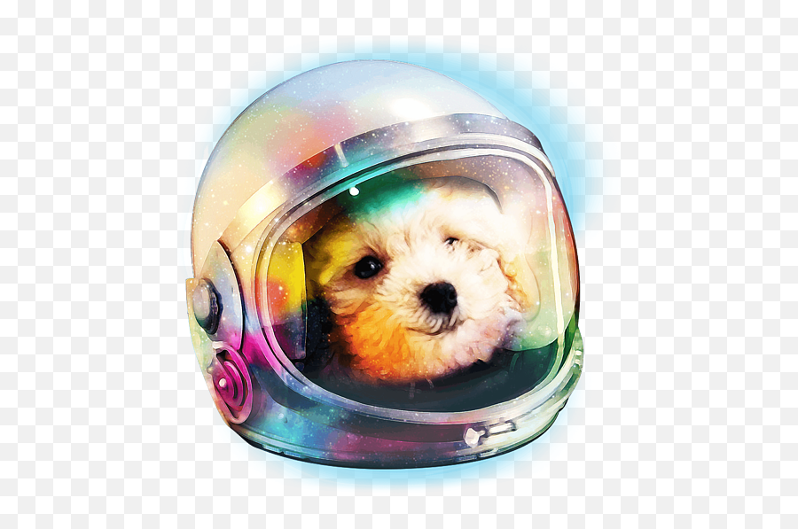 Poodle Puppy In Astronaut Helmet Space Galaxy Dog Emoji,Astronaut Helmet Transparent