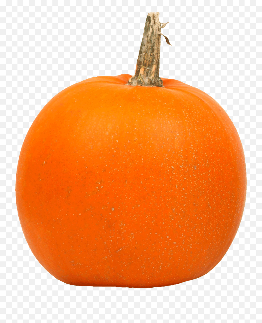 Free Big Pumpkin Png Image - Big Pumpkin White Background Emoji,Pumpkin Png