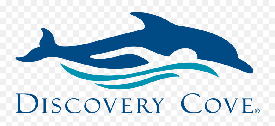 Discovery - Covelogo Ibcces Discovery Cove Emoji,Discovery Logo