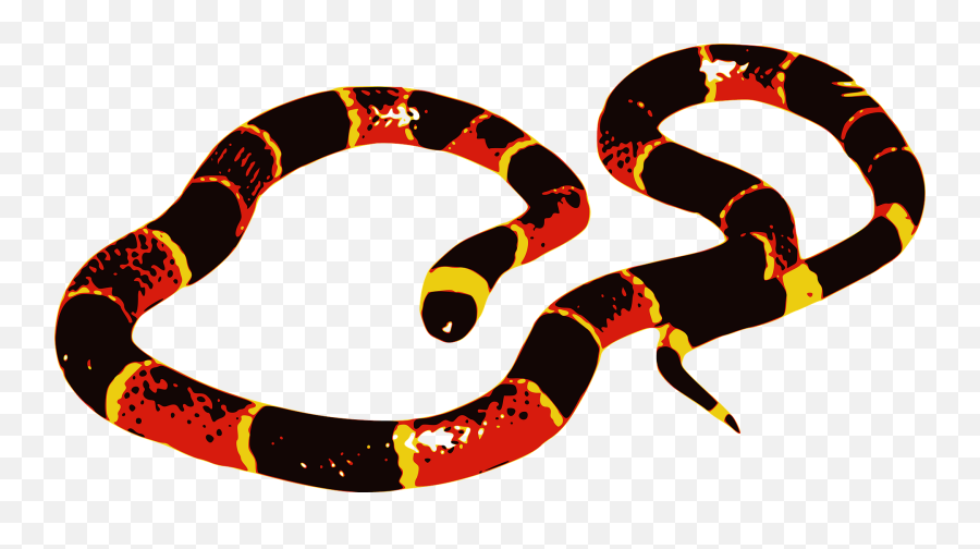 Coral Snake Clipart - Coral Snake Clipart Transparent Emoji,Coral Clipart