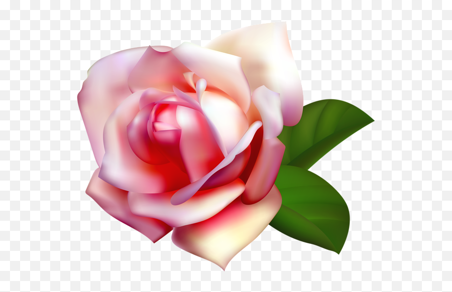 Beautiful Rose Clip Art Png Image Rose Clipart Beautiful - Pink Roses Beautiful Flowers Transparent Emoji,Rose Clipart Png