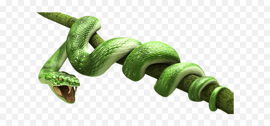 Green Snake Transparent Png - Snake Png Hd Emoji,Snake Png