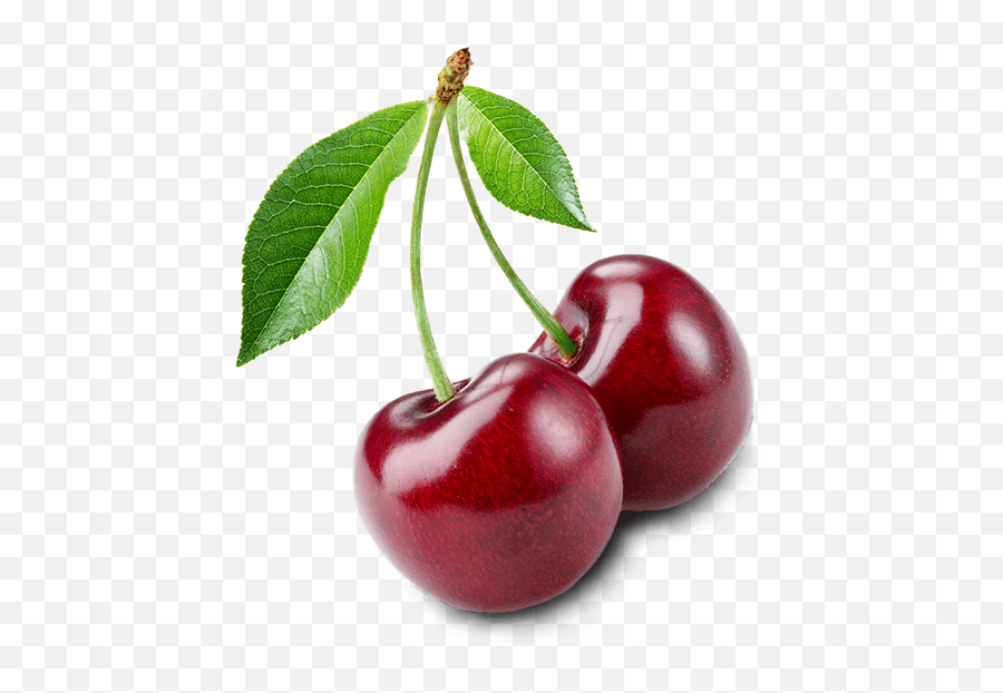 Cherry Berry Days - Cherry Png Emoji,Cherry Png