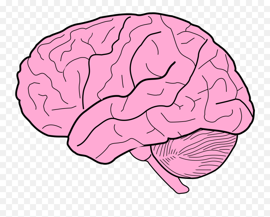 Download Brain Free Png Transparent - Brain Clip Art Emoji,Brain Clipart Png