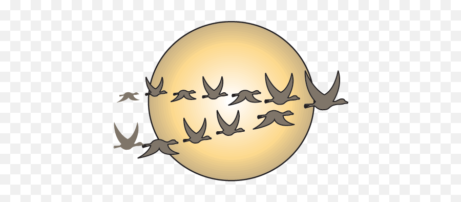 Bird Migration Games Science Trek Idaho Public Television - Poster On Migration Of Animals Emoji,Immigration Clipart