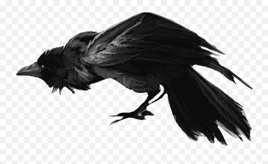 Download Banner Download Crow Clipart Scary - Raven Drawing Scary Raven Png Emoji,Crow Clipart