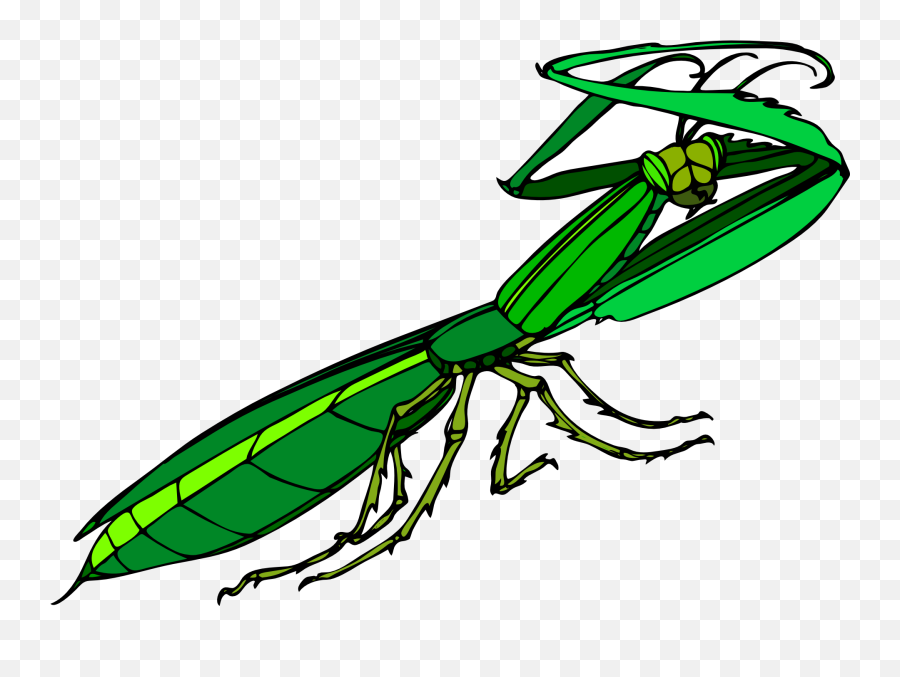 Geen Insect Clipart Free Image - Praying Mantis Png Animated Emoji,Insect Clipart