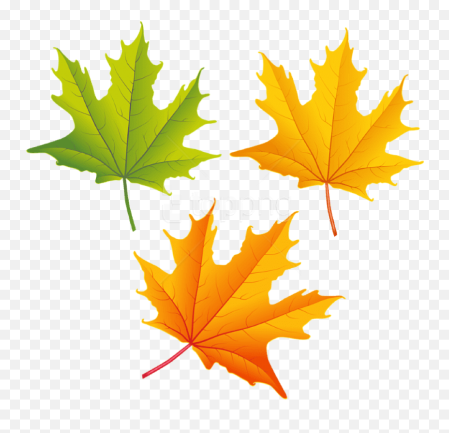 Fall Leaves Clipart High Resolution - Autumn Leaf Color Clip Art Emoji,Fall Leaves Clipart