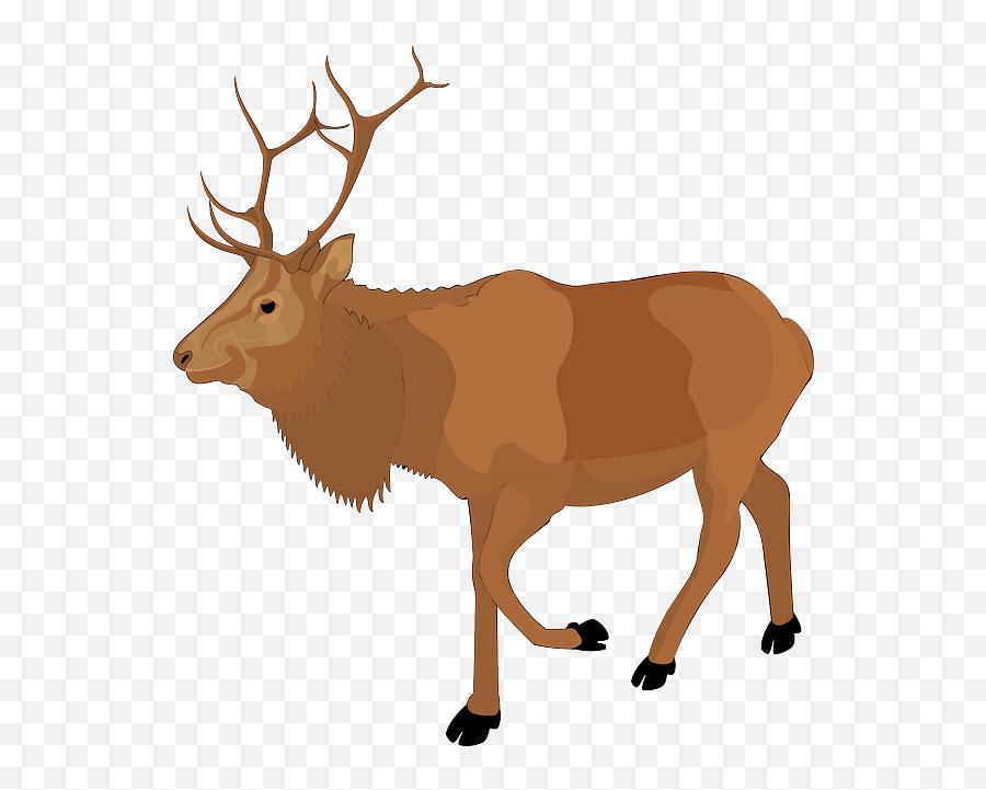 Color Walking Moose Animal Antlers - Caribou Clipart Emoji,Antlers Clipart