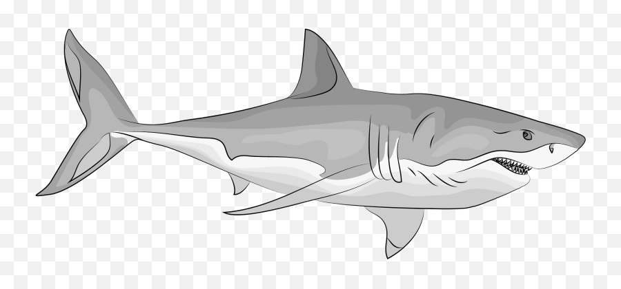 Great White Shark Clipart - Great White Shark Vector Emoji,Shark Clipart Black And White