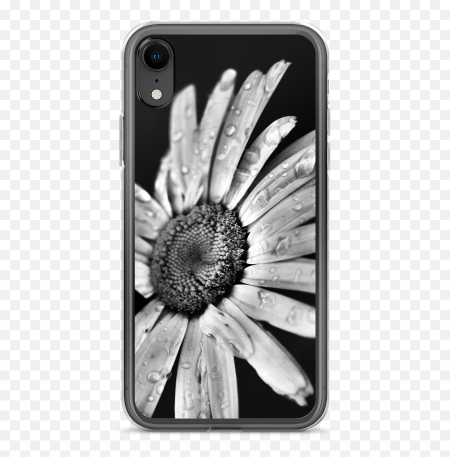 Boutique - Photography A Daisy In Black And White U2014 Emmanuelle Perryman Mobile Phone Case Emoji,Iphone Xr Png