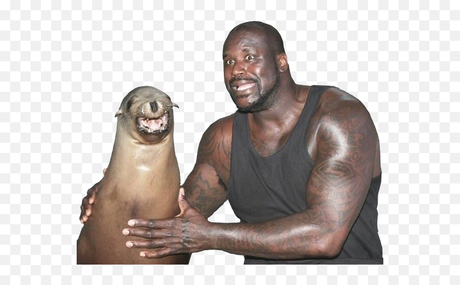 Shaquille O Neal With Seal Png Image Emoji,Shaq Transparent