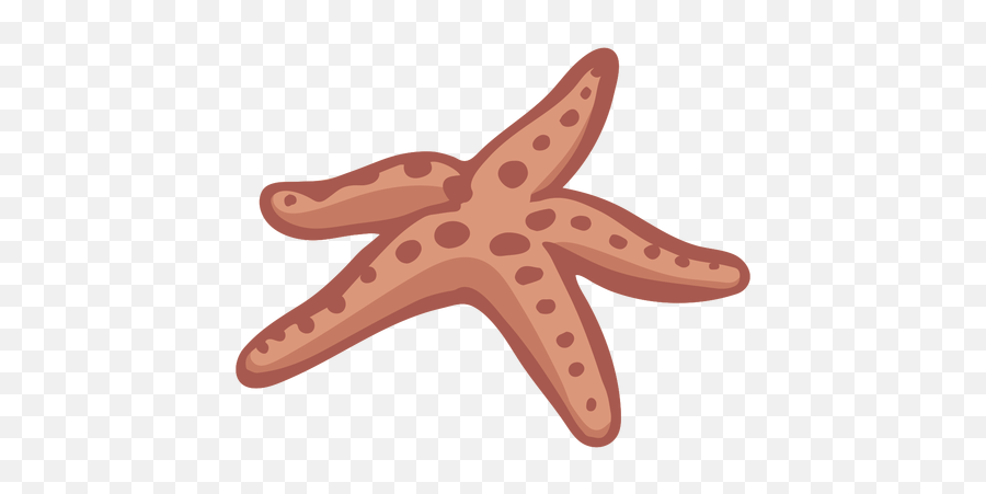 Hand Drawn Starfish - Transparent Png U0026 Svg Vector File Emoji,Starfish Transparent Background