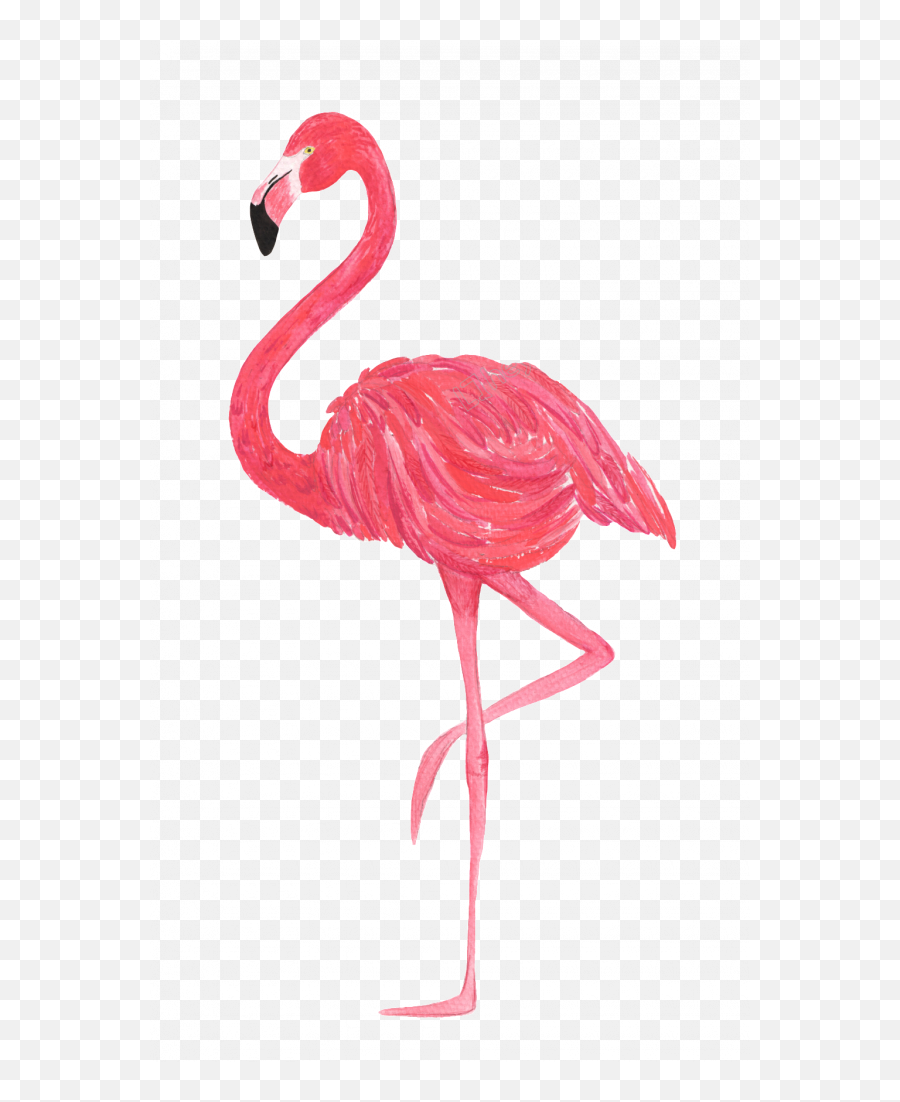 Flamingo Png Images Transparent Images U2013 Free Png Images Emoji,Flamingo Clipart Free