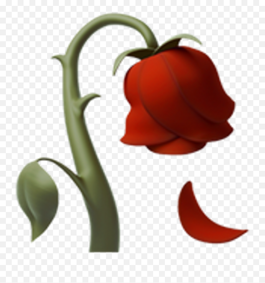Emoji Rose Iphone - 1024x1024 Png Clipart Download,Iphone Emoji Png