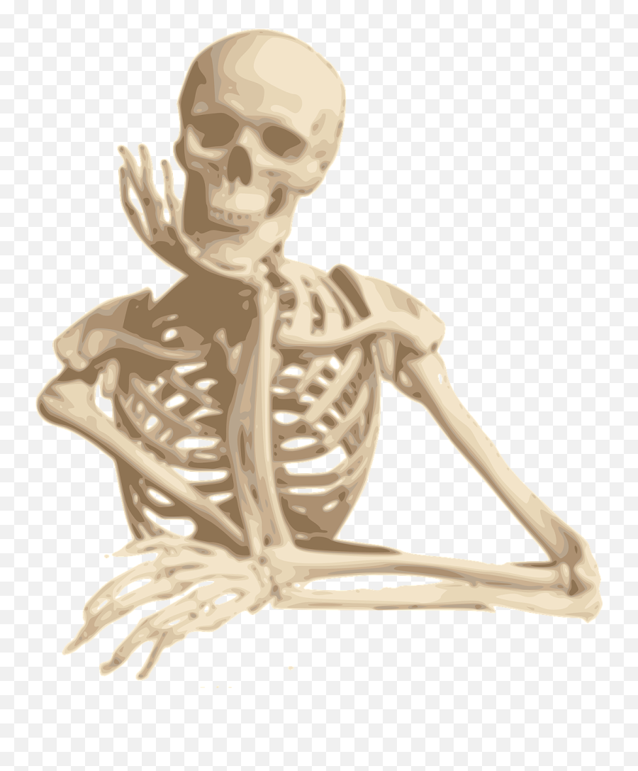 Skeleton Smiling Sitting - Free Vector Graphic On Pixabay Cook Door Emoji,Cartoon Skull Png