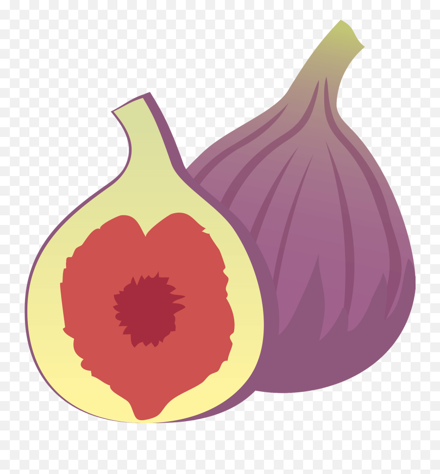 Common Fig Fuits Clipart - Fig Clipart Emoji,Fig Clipart
