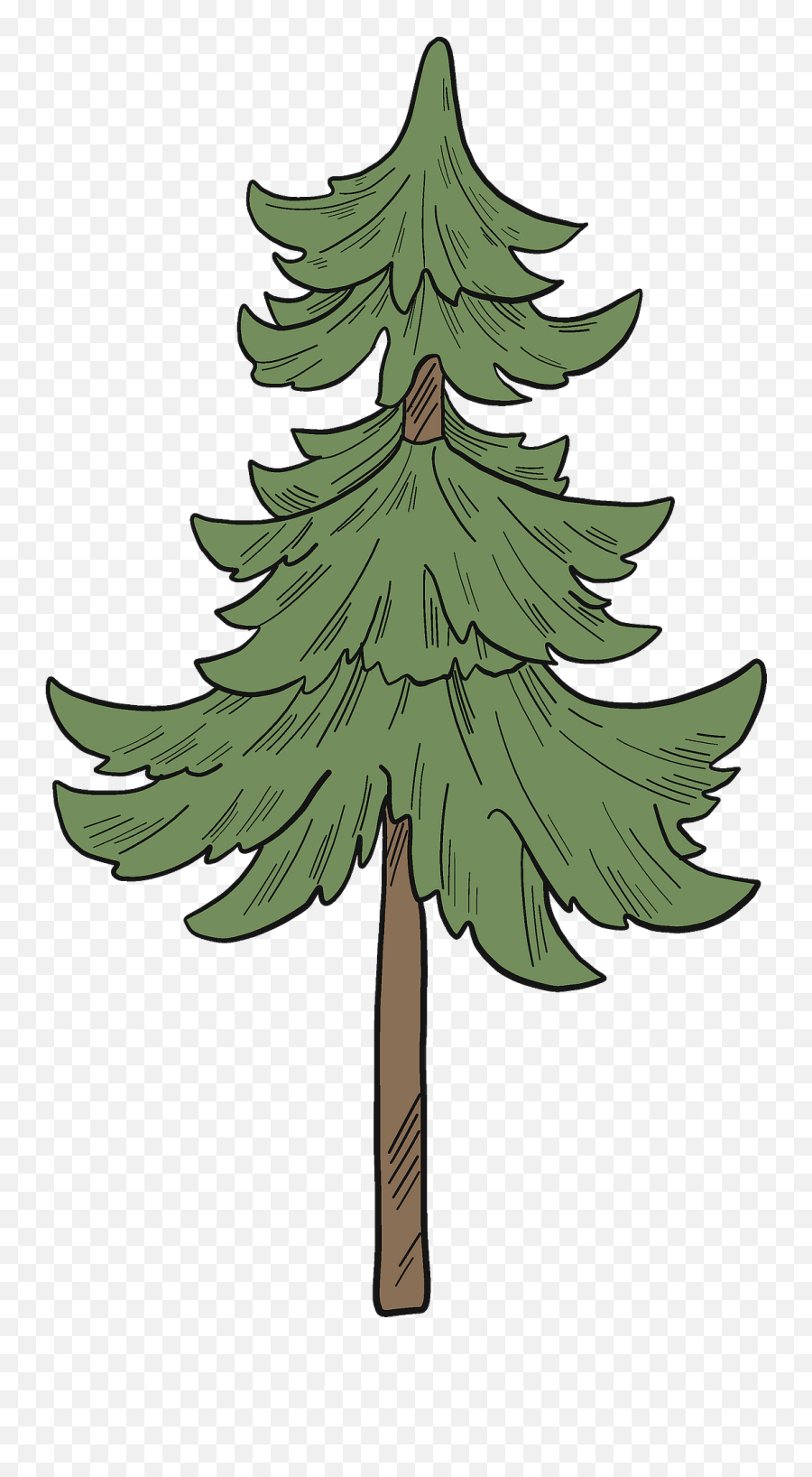 Evergreen Tree Clipart - Evergreen Trees Plants Clipart Emoji,Evergreen Tree Png