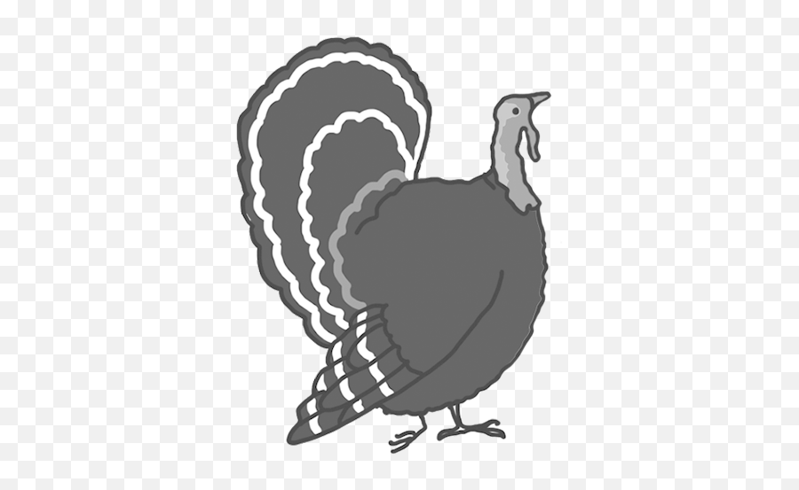 Happy Thanksgiving Clipart - Thanksgiving Turkey Emoji,Thanksgiving Borders Clipart