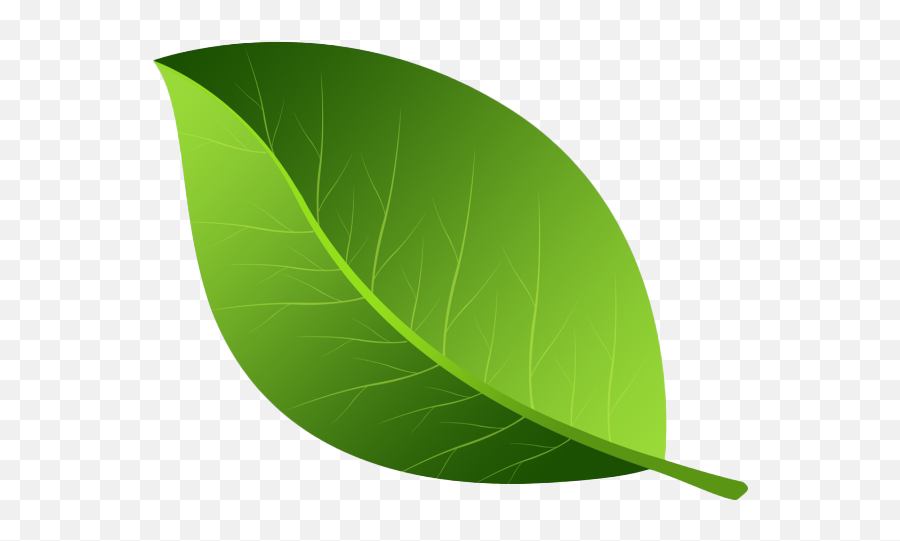 Leaves And Leaf Png Images Transparent - Leaf Png Emoji,Leaf Png