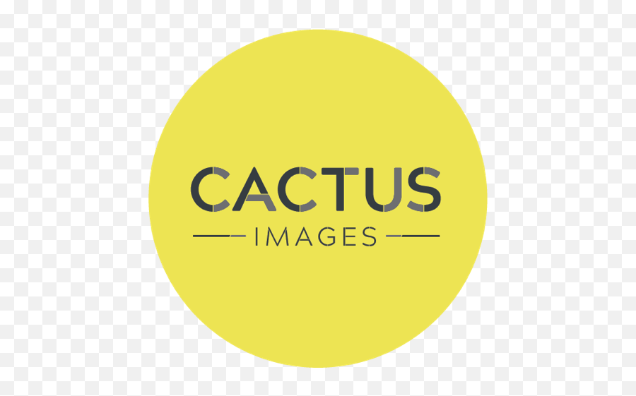 Fujifilm Instax Cameras - Sq20 Product Launch Cactus Images Emoji,Fujifilm Logo