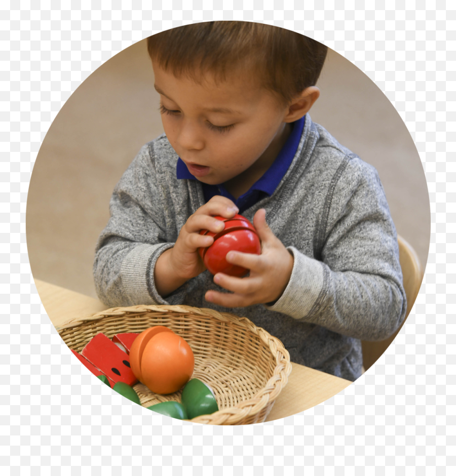 Metropolitan Montessori School - A Montessori Preschool And Denver Art Society Emoji,Toddler Png